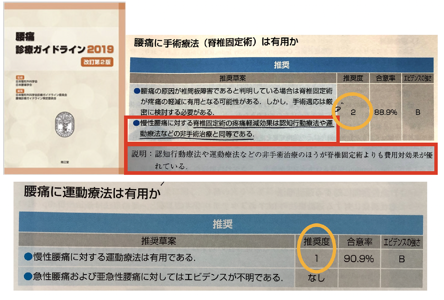 宮崎　腰痛　